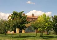 La Casa Fra Gli Olivi