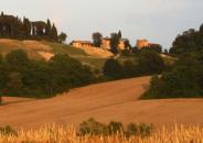 Il Sarale