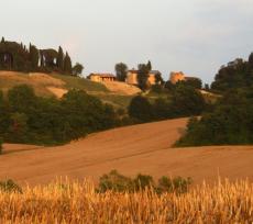 Il Sarale