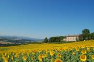 Casale Dei Frontini