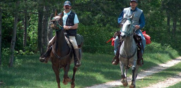 equitazione