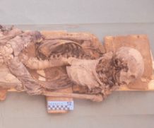 Museo Delle Mummie A Borgo Cerreto