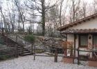 bed-and-breakfast-avigliano-umbro-il-nido-del-falco-esterno3