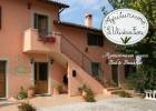 ulivo-in-fiore-home