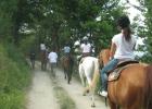 sarale-cavallo