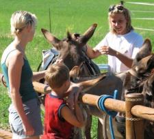 passeggiate per bambini con gli asinelli umbria