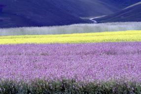 pian_grande_castelluccio_norcia150