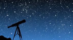 stelle