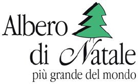 Albero Di Natale Piu Grande Del Mondo Gubbio.Accensione Albero Gubbio Bella Umbria