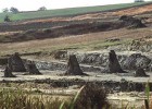 foresta_fossile_dunarobba foresta_fossile_dunarobba