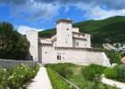Rocca Flea