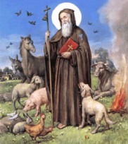 2012 Feast Of St. Antonio Abate, Patron Saint Of The Animals And Of The Farmer