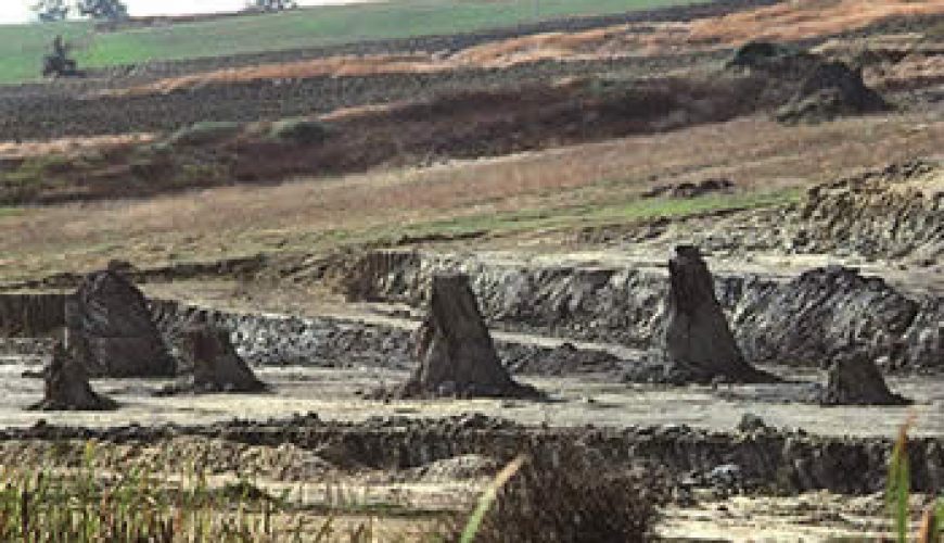 Foresta Fossile di Dunarobba