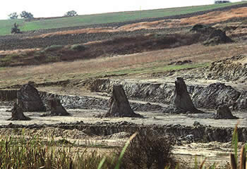 Foresta Fossile di Dunarobba