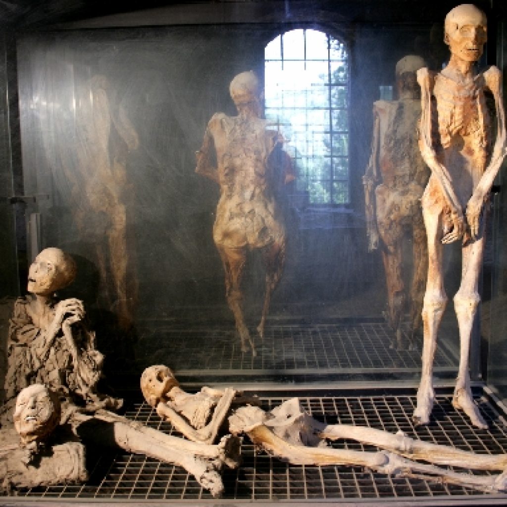 Il Museo delle Mummie di Ferentillo è una assoluta rarità. Uno dei musei più caratteristici e visitati della zona.