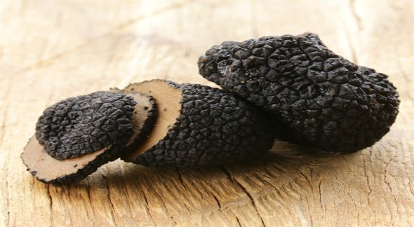 Tartufo Nero Pregiato di Norcia