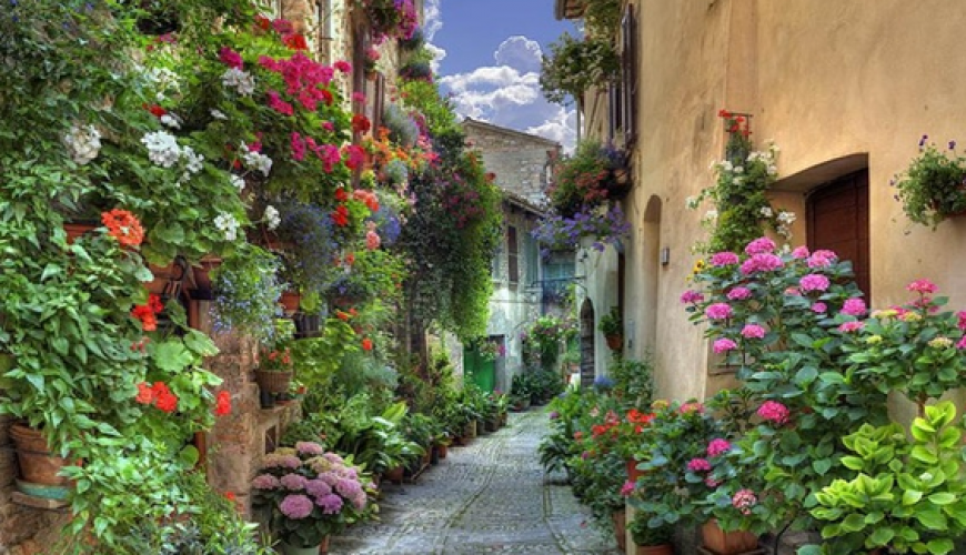 La tua vacanza nel cuore verde d'Italia