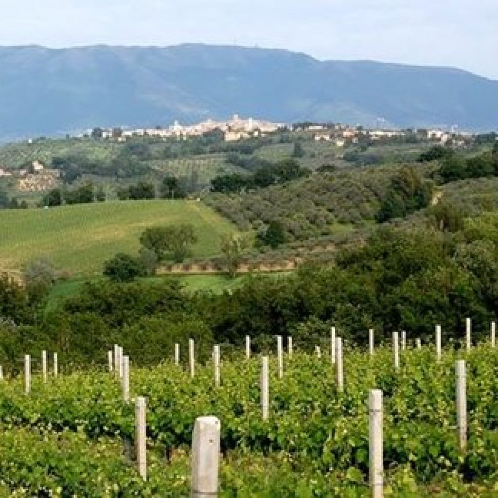 Cosa Vedere a Montefalco in un Giorno