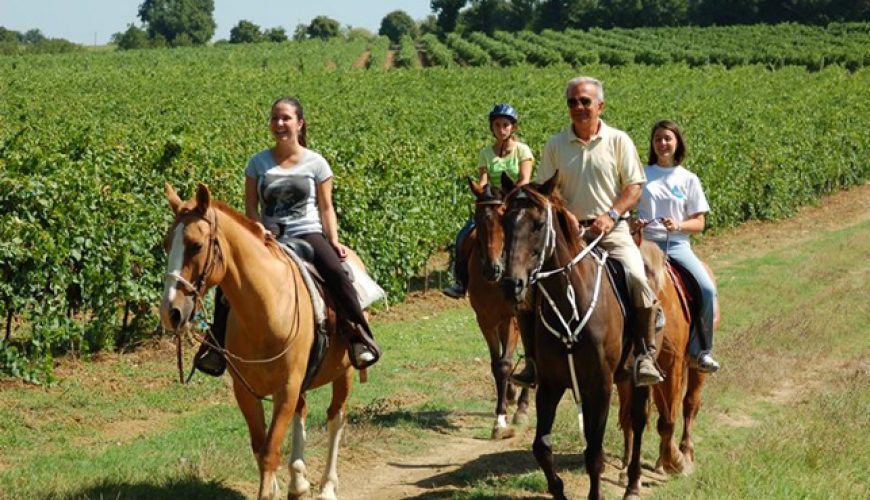 La tua vacanza nel cuore verde d'Italia