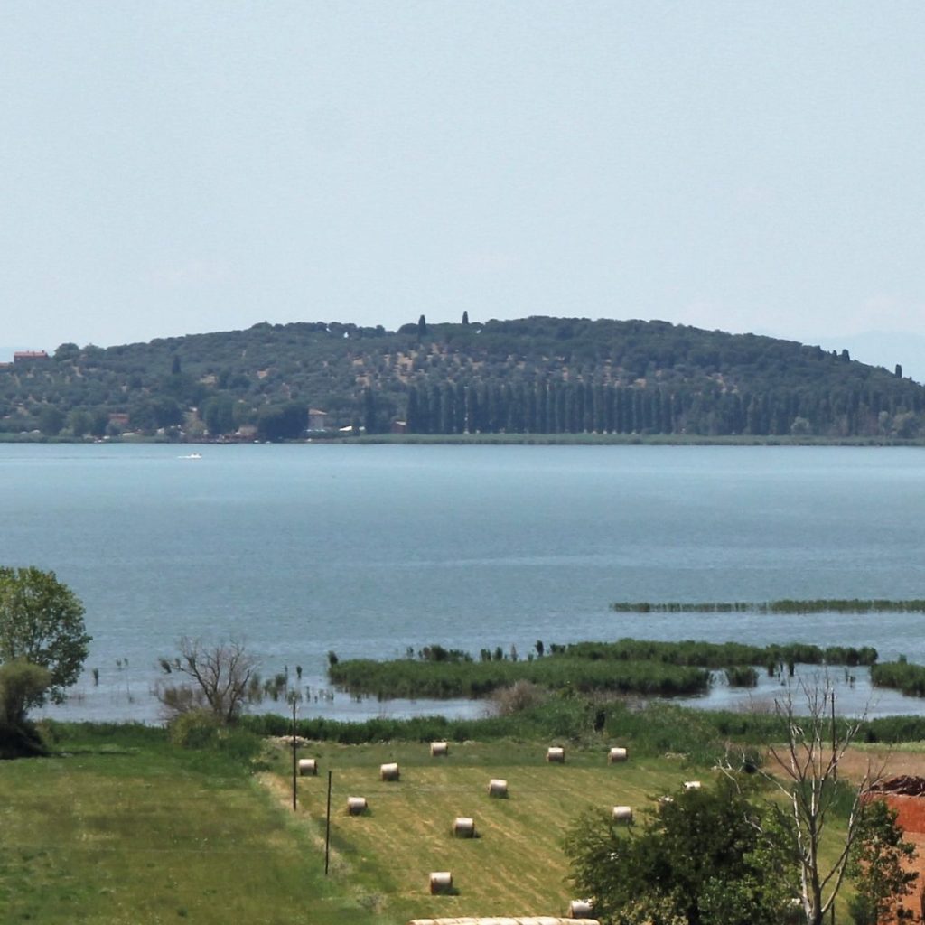 Per la tua gita al Lago Trasimeno, regalati un’escursione all’Isola Polvese, la più grande delle tre isole caratterizzano il celebre lago umbro.