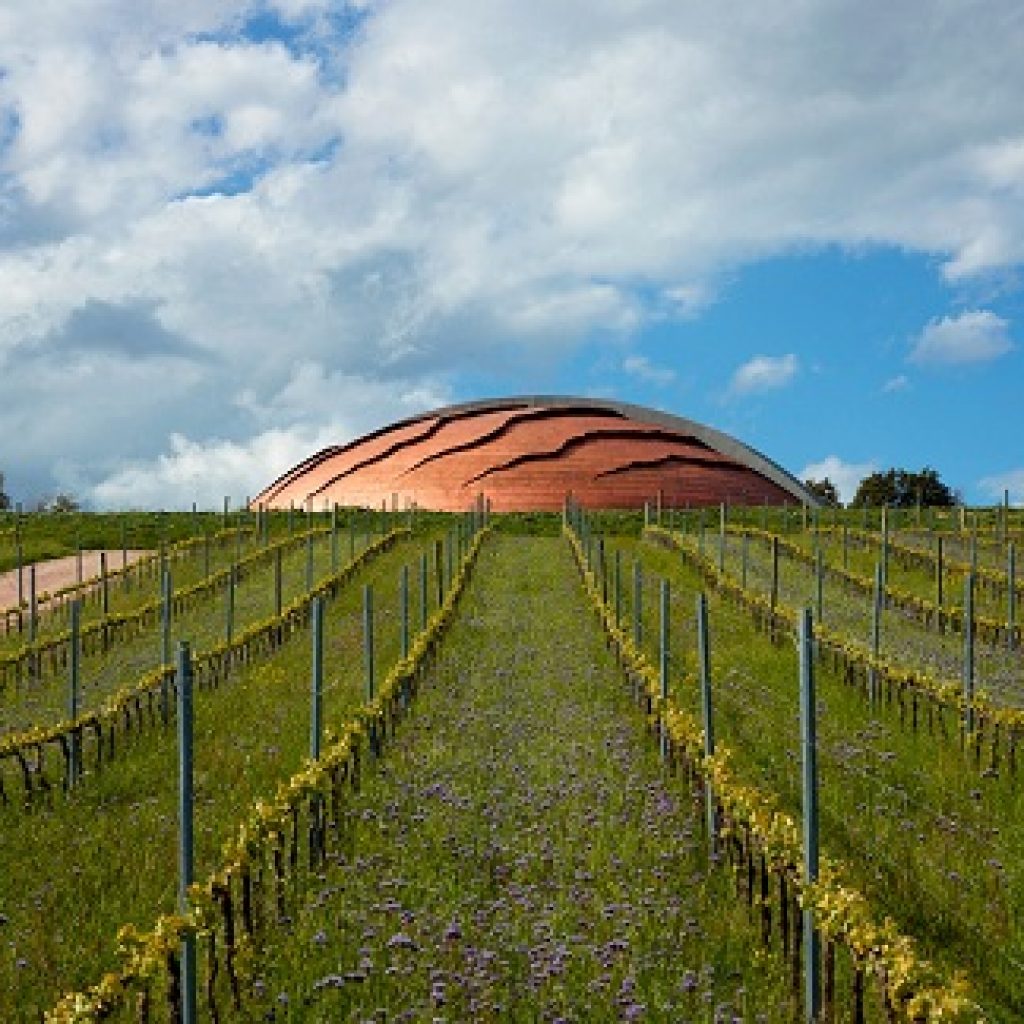 Il Carapace è un'opera d'arte unica, che rimescola il confine tra scultura e architettura in modo funzionale al contesto nel quale è inserita: la tenuta Castelbuono e i suoi vigneti