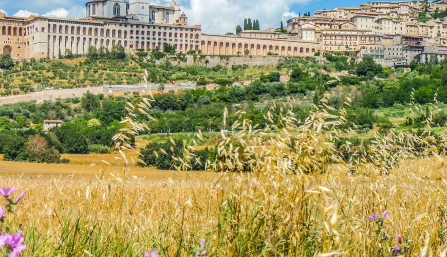 La tua vacanza nel cuore verde d'Italia