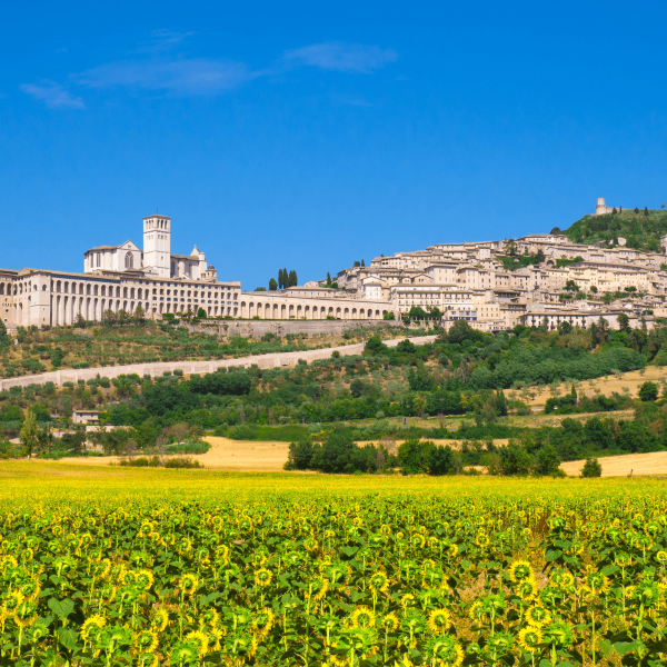 assisi (1)