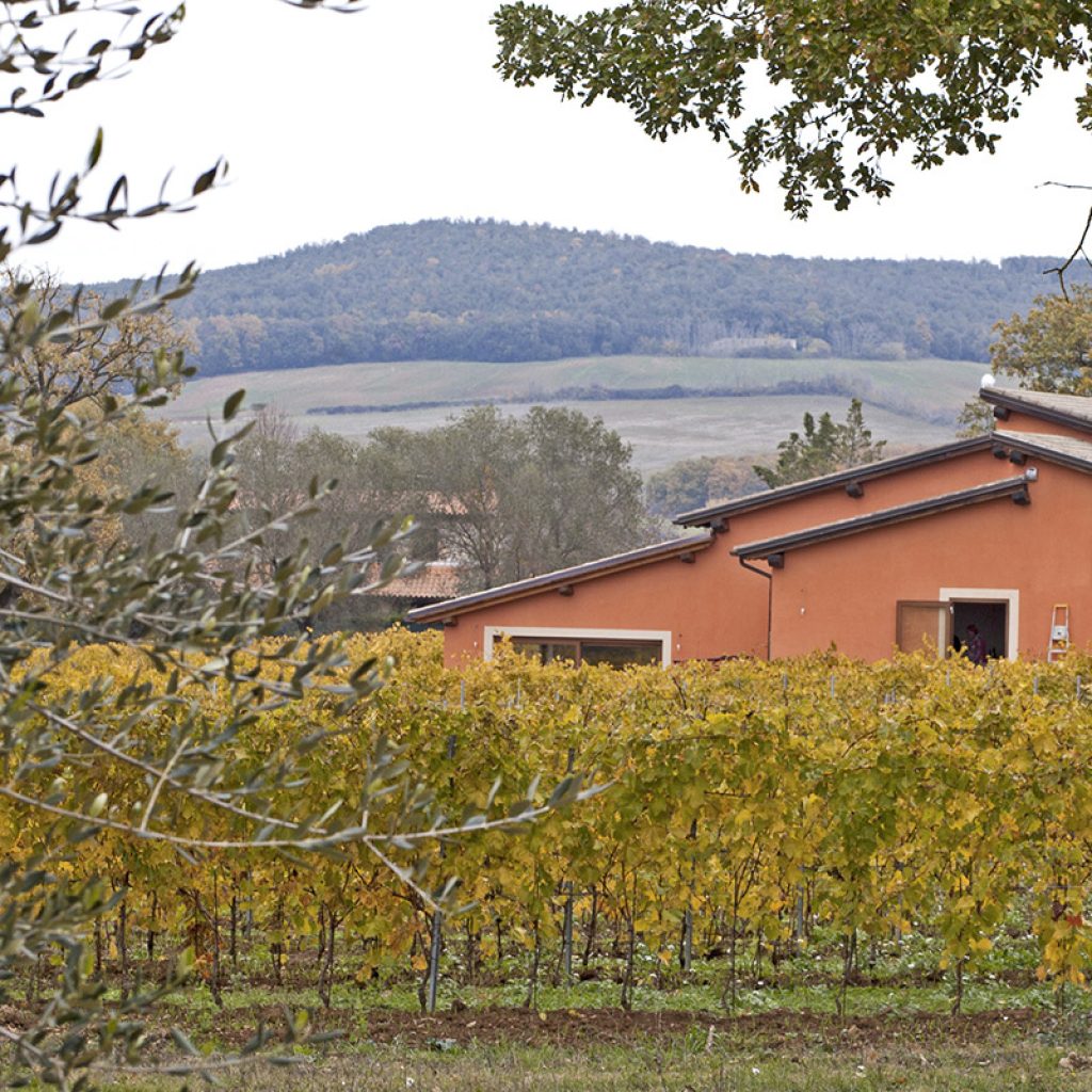 GIOVE (TR)   Cantina  Vendita diretta  Degustazioni