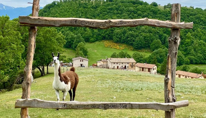 La tua vacanza nel cuore verde d'Italia