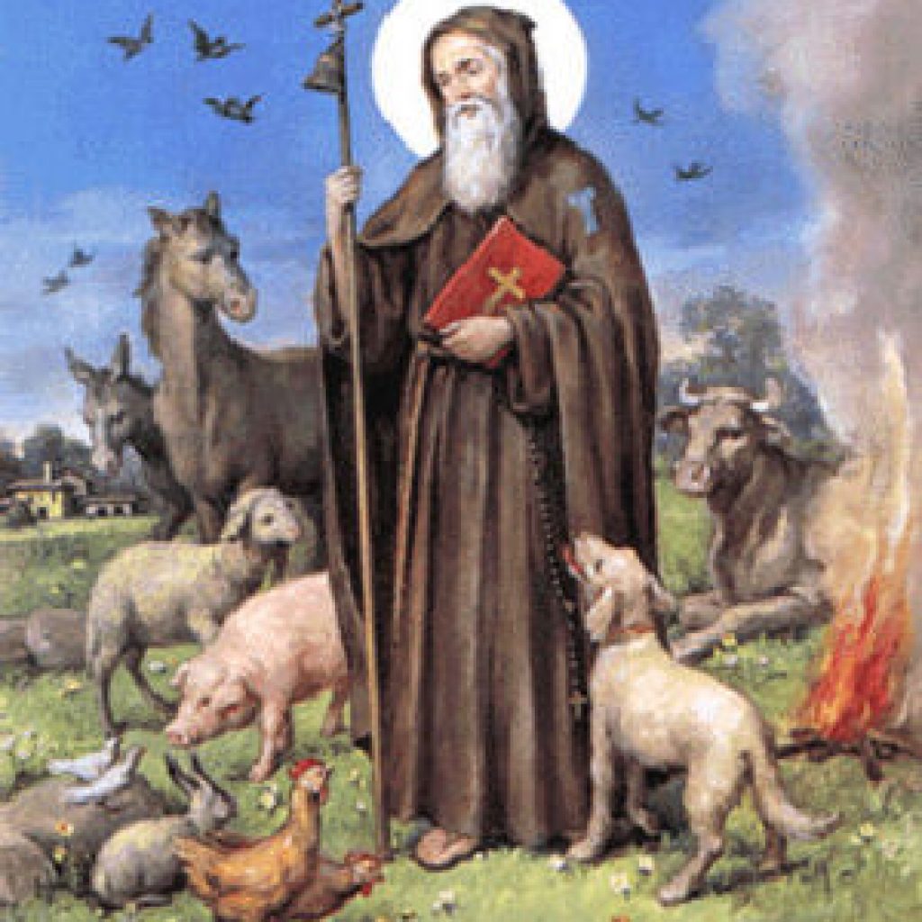 Saint Anthony the Abbot is the patron Saint of the pets, livestock, of the farmer and related and/or derivatives work , fire, skin diseases and of the gravediggers.